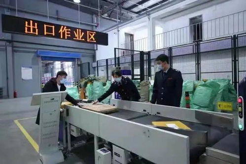 2020年珲春跨境电商一般出口商品货值8.1亿元，亿企创助力地方经济腾飞